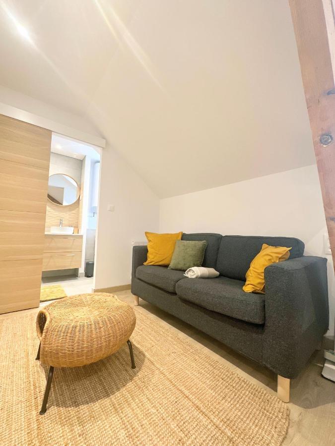 Sacre Appartement/Jardin/Parking/Wifi Rodez Exterior photo